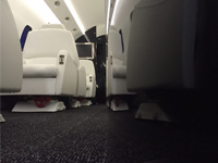 Mid Cabin